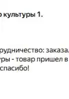Куртамышский Центр культуры 1