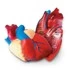 Развивающая игра «Сердце человека. Модель в разрезе» (1 элемент)