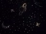 Настенный ковер «Звездное небо» без пу (75 точек) общий вид