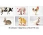 Разрезные картинки «Домашние животные» 2
