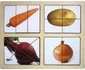 Разрезные картинки Овощи-2