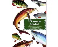 Обучающие карточки «Речные рыбы» 16 шт.1