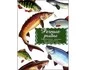 Дидактические карточки Речные рыбы