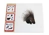 Комплект карточек Монтессори «Животные по материкам и частям света»_1