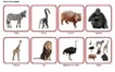 Комплект карточек Монтессори «Животные по материкам и частям света» 2_1