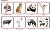 Комплект карточек Монтессори «Животные по материкам и частям света» 8_1