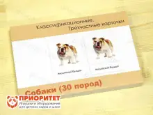 Комплект трехчастных карточек Монтессори «Собаки»1