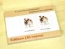 Комплект трехчастных карточек Монтессори «Собаки» 2_1