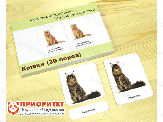 Комплект трехчастных карточек Монтессори «Кошки»_1