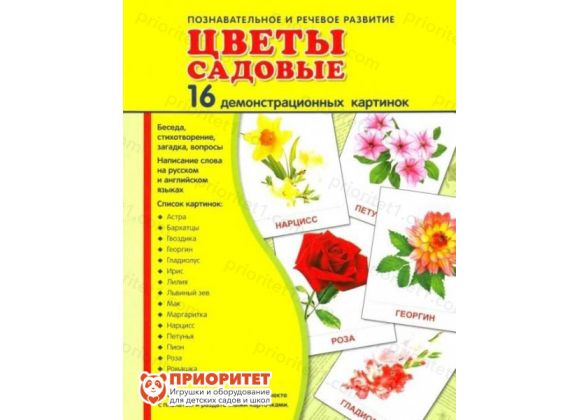 Демонстрационные карточки «Цветы садовые» (173x220 мм)_1