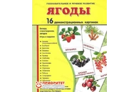 Демонстрационные карточки «Ягоды» (173x220 мм)