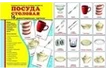 Демонстрационные карточки «Посуда»(173x220 мм)_1