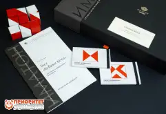 Кубики Коса. Измерение уровня невербального интеллекта1