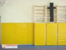 Мат-протектор для гимнастической стенки 1,90х0,74х0,1 СТАНДАРТ (тент) №131