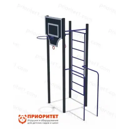 248 Кроссфит с брусьями
