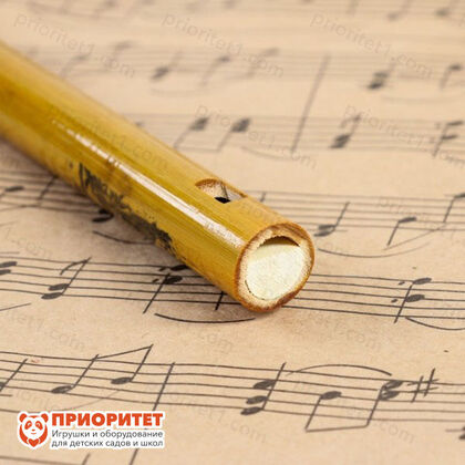 Музыкальный инструмент Флейта тональность С 3