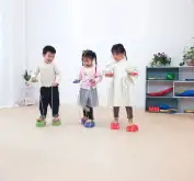 Шагающие камни1