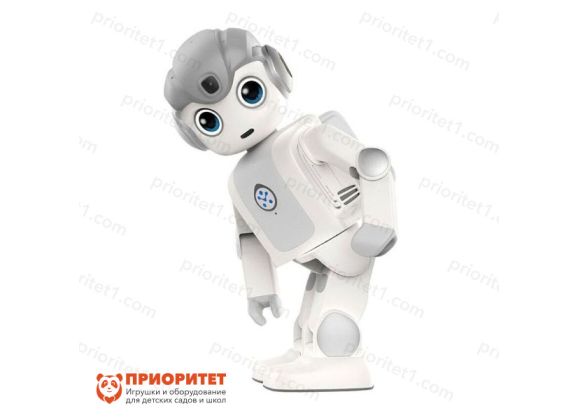 Программируемый гуманоидный робот Alpha mini от UBTech 3_1