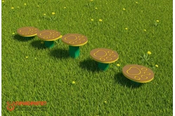 Полоса препятствий «Следы животных»1