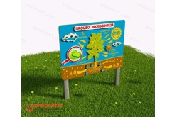 Модуль объёмный «Фотосинтез»1