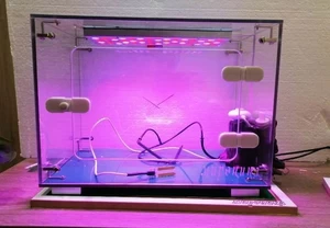 Биолаборатория. Умная грядка Биолаборатория. Умная грядка