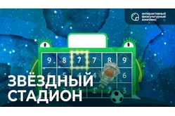 ИФК блок Звездный стадион1