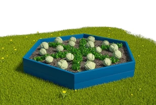 Вечная грядка шестигранной формы из толстых брусков Вечная грядка шестигранной формы из толстых брусков