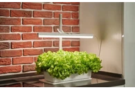 Обучающий комплект экологической направленности Сити-фермер 2.0 Детский сад на 30 чел. VIP