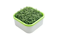 Обучающий комплект экологической направленности Сити-фермер 2.0 Детский сад 10 чел.