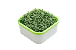 Обучающий комплект экологической направленности Сити-фермер 2.0 Детский сад 30 чел.1