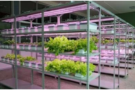 Обучающий комплект АГРОкласс