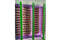 Вертикальная ферма Моя Микрозелень комплектация Школьная