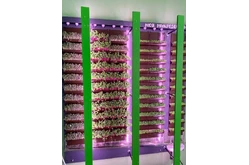 Вертикальная ферма Моя Микрозелень комплектация Школьная1