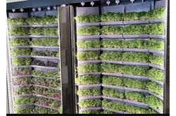 Вертикальная ферма Моя микрозелень комплектация Театро настенная1