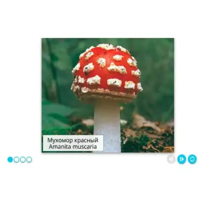 rasteniya-griby-bakterii-interaktivnoe-uchebnoe-posobie-v-5-0-box-naglyadnaya-biologiya-6-kl-2