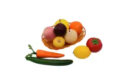 Комплект муляжей демонстрационный Растениеводство1