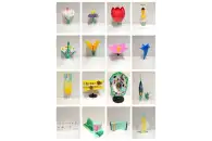 Комплект ботанических моделей демонстрационный