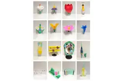 Комплект ботанических моделей демонстрационный1