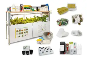 Гидропонная ферма Гидропонная ферма