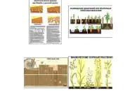 Комплект демонстрационных учебных таблиц/плакатов по агрономии