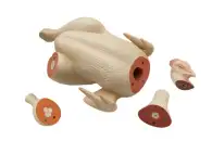 Макет анатомический разборный Кулинарная разделка сельскохозяйственной птицы