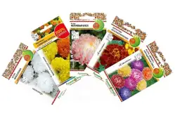 Семена цветов (комплект)1