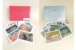 Комплект моделей-аппликаций демонстрационный Аквакультура1