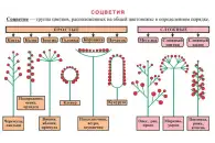 Электронные образовательные ресурсы Пчеловодство