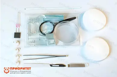 Набор для препарирования Пчеловодство Набор для препарирования Пчеловодство