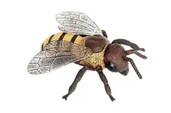 Макет рабочей пчелы1