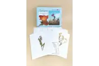 Гербарий Медоносные растения