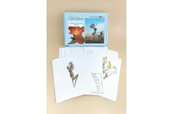 Гербарий Медоносные растения1