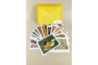 Модель-аппликация Пчелы. Строение улья