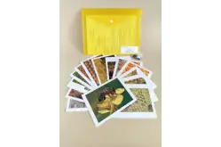 Модель-аппликация Пчелы. Строение улья1